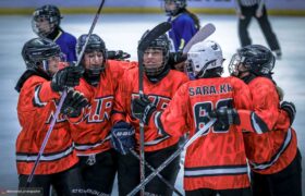 سوسن قاسمی ام دات آر را به صدر بازگرداند